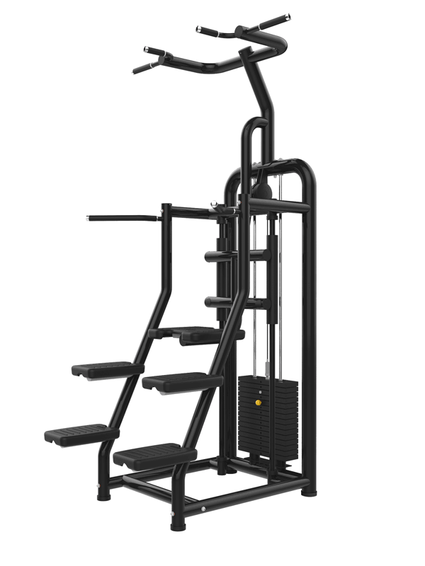 Black power tower with dip bars and pull-up station for home gym workouts.
