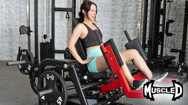 Muscle D Fitness