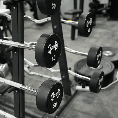 Muscle D Fitness Straight / Curl Urethane Barbell Set