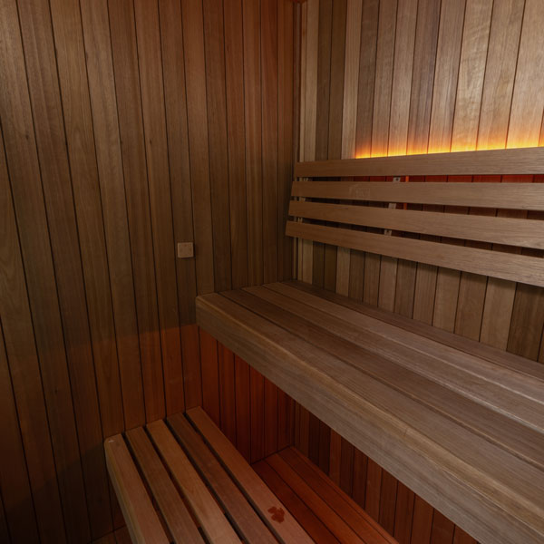 Dundalk Leisurecraft CT Element Loft Sauna (54x74)