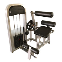 Muscle D Fitness Back Extension Machine