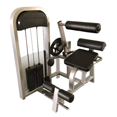 Muscle D Fitness Back Extension Machine