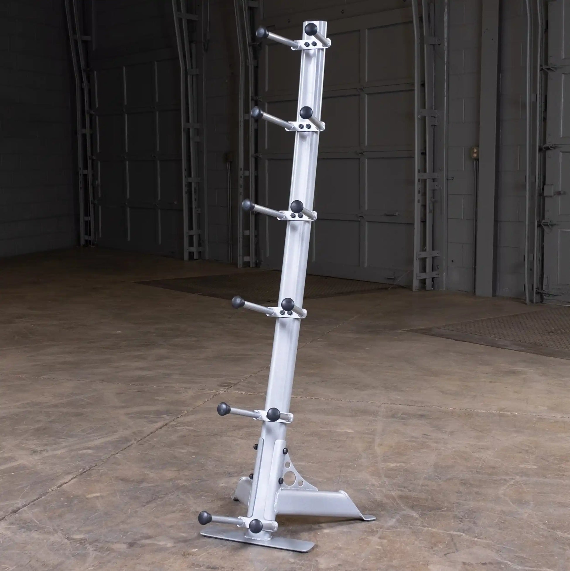 Silver dumbbell rack with six pegs in a gym setting.