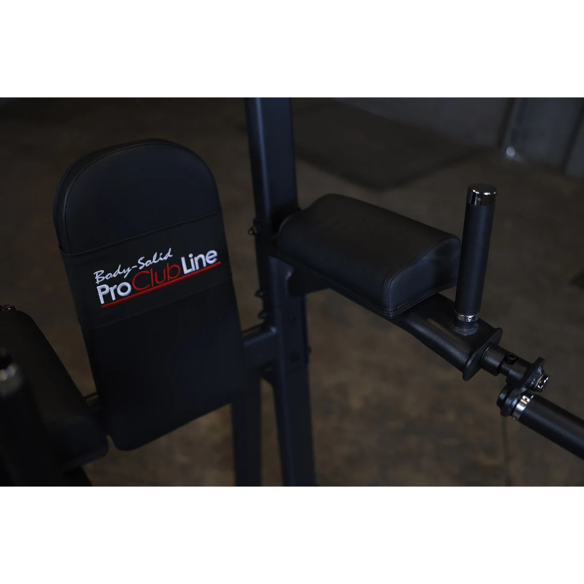 Close-up view of the Body-Solid Pro Clubline Vertical Knee Raise SVKR1000, featuring padded support and handles.