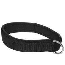 Black padded nylon dog collar with metal D-ring for leash attachment.