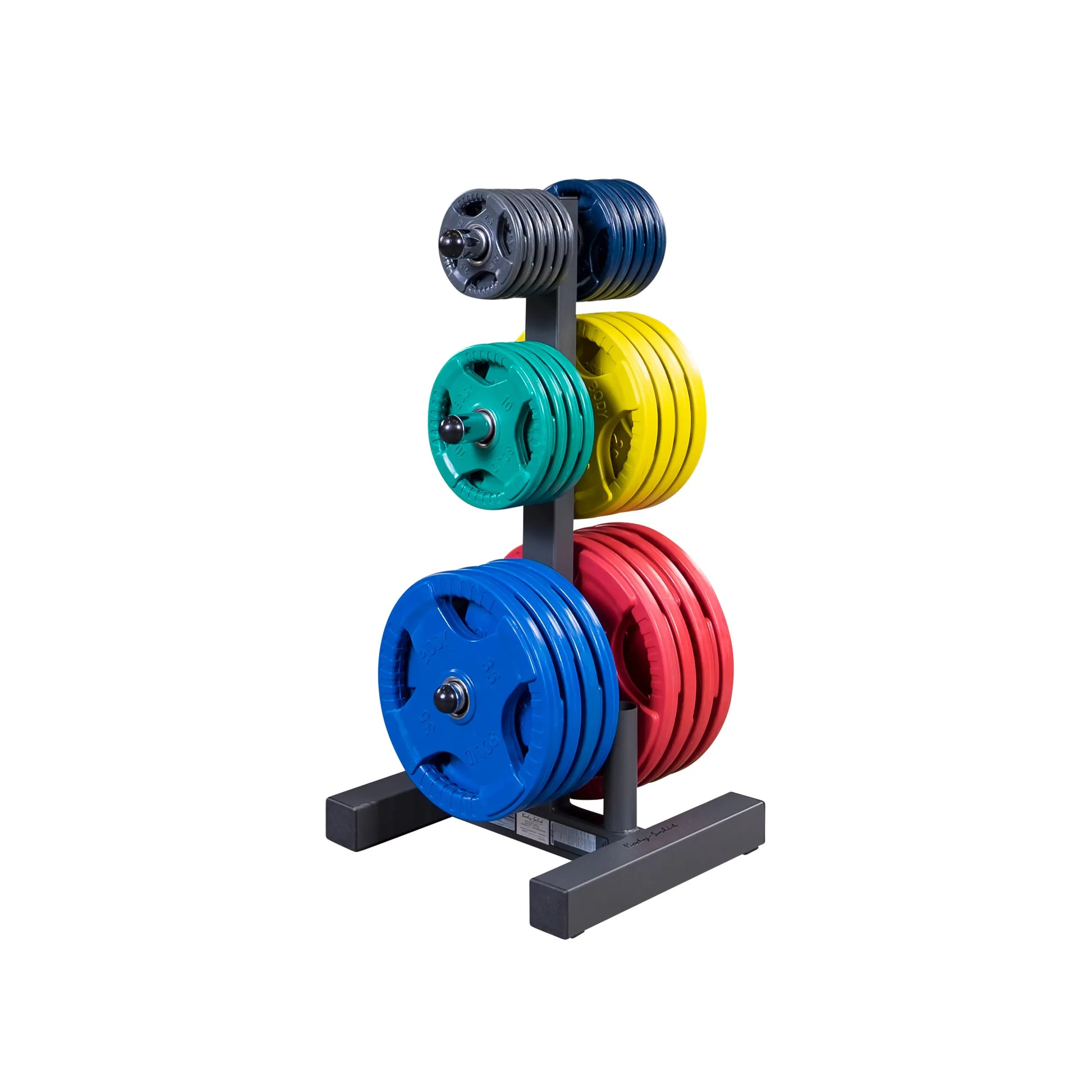 Colorful weight plates on rack for gym organization.