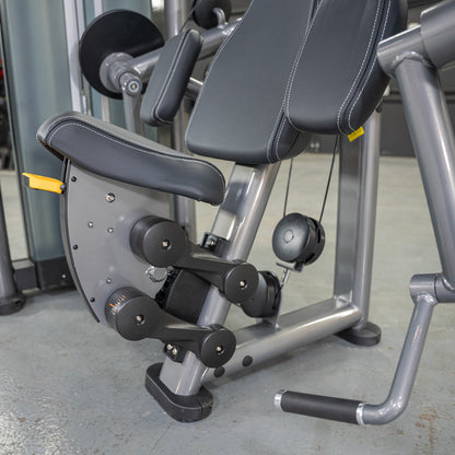Muscle D Fitness Elite Plus Bicep Curl Machine