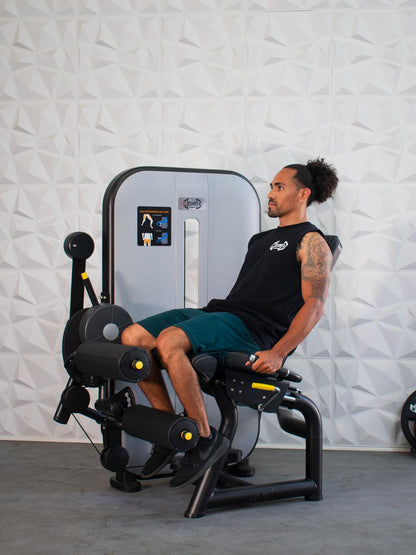 Muscle D Fitness Vogue Leg Extension / Seated Leg Curl Combo Machine
