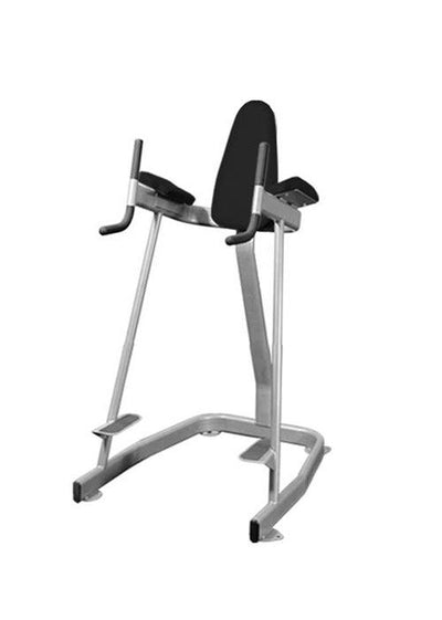Muscle D Fitness Elite Vertical Knee Raise
