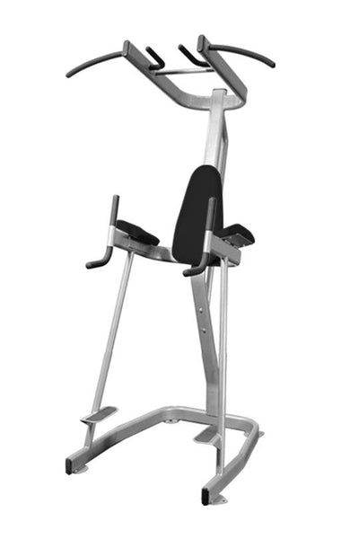 Muscle D Fitness Vertical Knee Raise with Pull Up Station