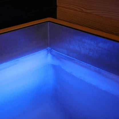 Revive 3 Person Traditional Sauna & Luxury Plunge