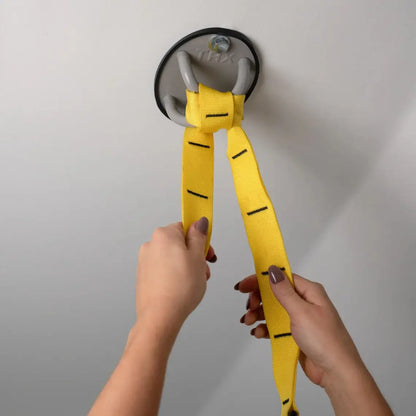 TRX XMount – close-up of silver anchor plate showing two bolt holes for secure installation