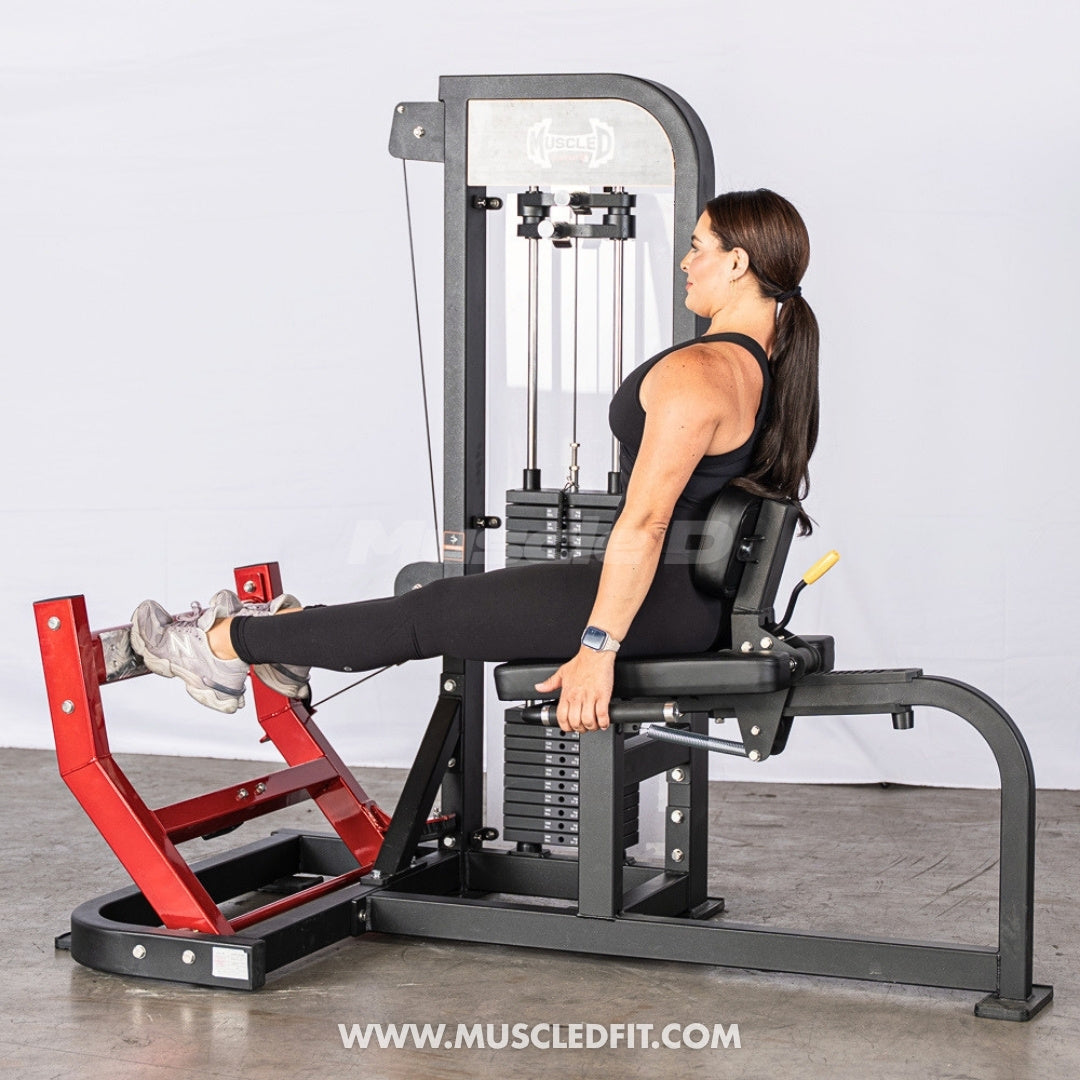Muscle D Fitness Classic V2 Selectorized Seated Calf