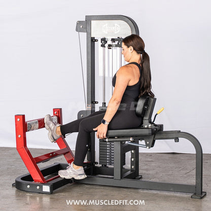 Muscle D Fitness Classic V2 Selectorized Seated Calf