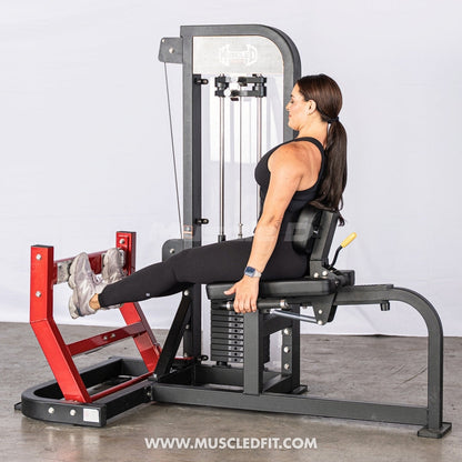 Muscle D Fitness Classic V2 Selectorized Seated Calf