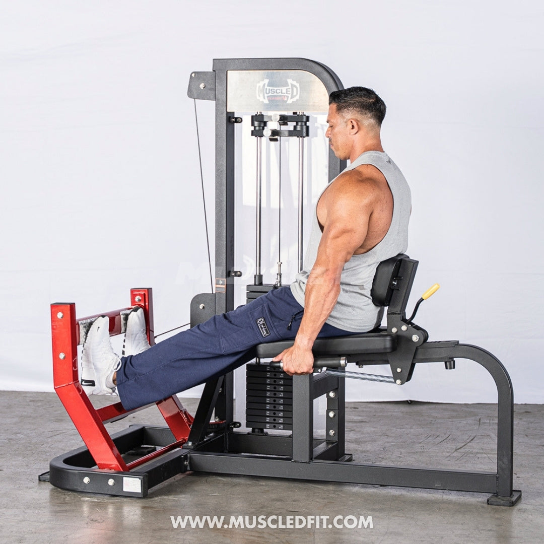 Muscle D Fitness Classic V2 Selectorized Seated Calf
