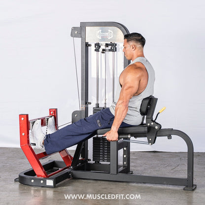 Muscle D Fitness Classic V2 Selectorized Seated Calf
