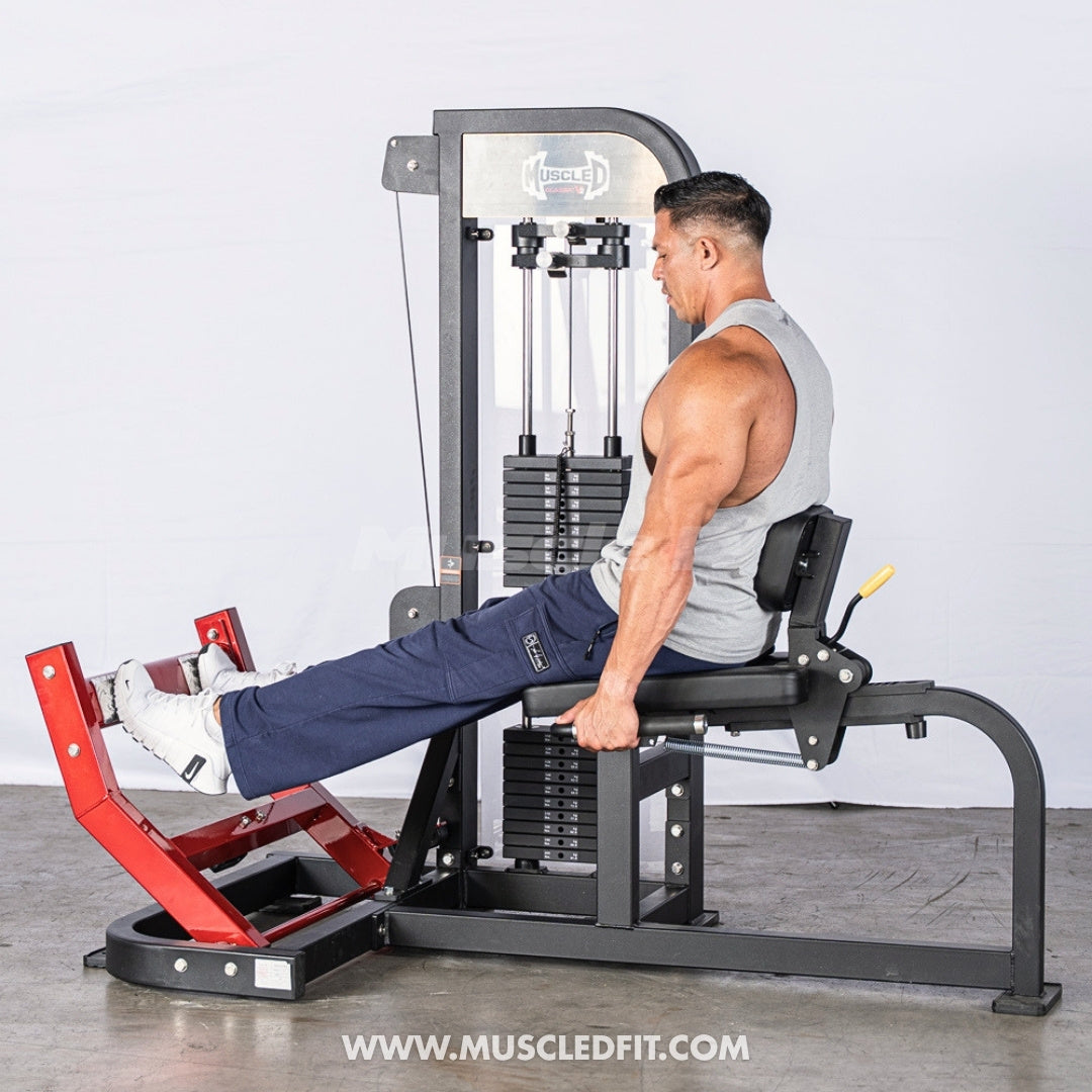 Muscle D Fitness Classic V2 Selectorized Seated Calf