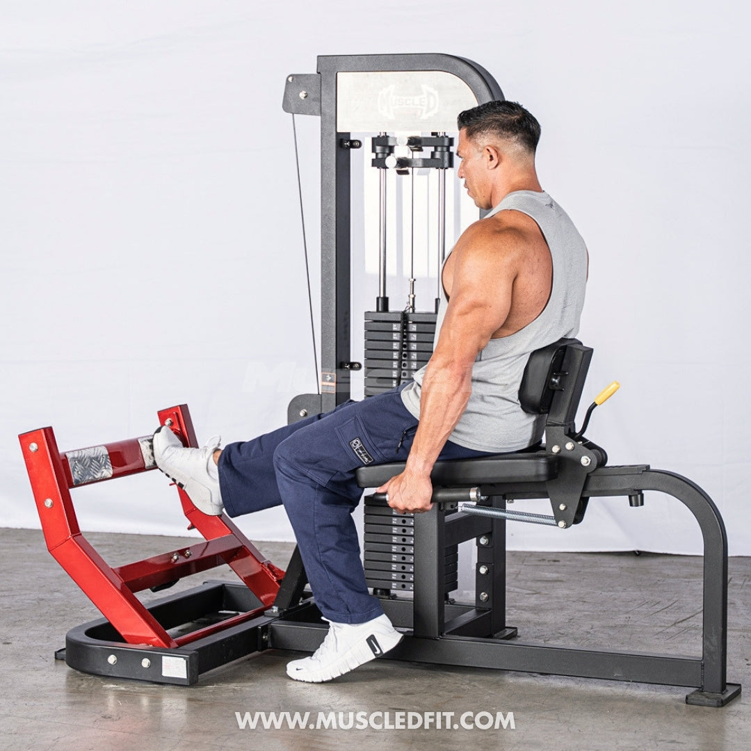 Muscle D Fitness Classic V2 Selectorized Seated Calf