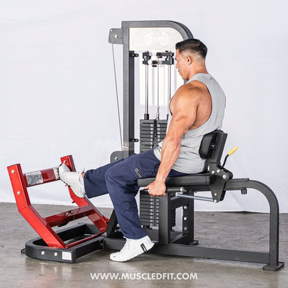 Muscle D Fitness Classic V2 Selectorized Seated Calf