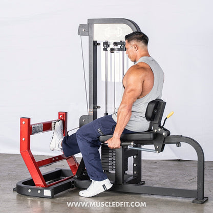 Muscle D Fitness Classic V2 Selectorized Seated Calf