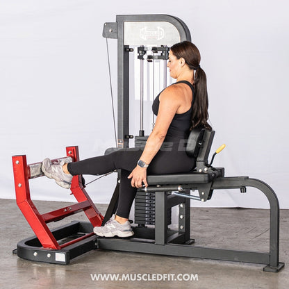Muscle D Fitness Classic V2 Selectorized Seated Calf