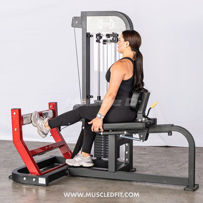 Muscle D Fitness Classic V2 Selectorized Seated Calf