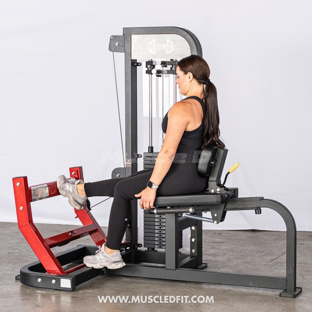 Muscle D Fitness Classic V2 Selectorized Seated Calf