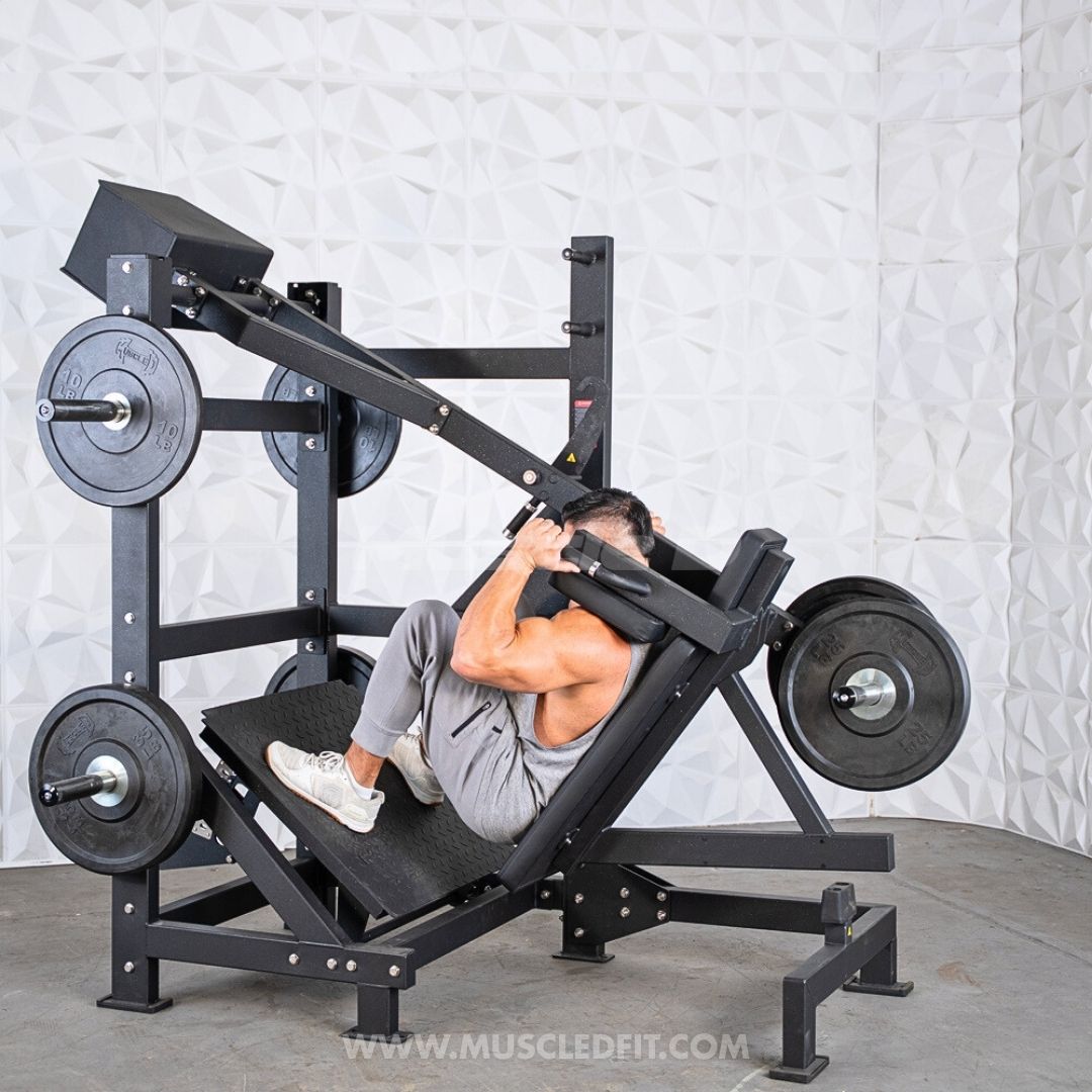 Muscle D Fitness Excel Counterbalanced Pendulum Squat