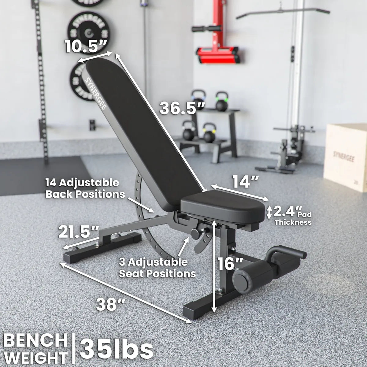 Black adjustable weight bench with incline and decline positions, labeled with dimensions including 10.5" wheel diameter, 36.5" back height, 14 adjustable back positions, and 3 adjustable seat positions, set in a gym environment. Bench weighs 35 lbs.