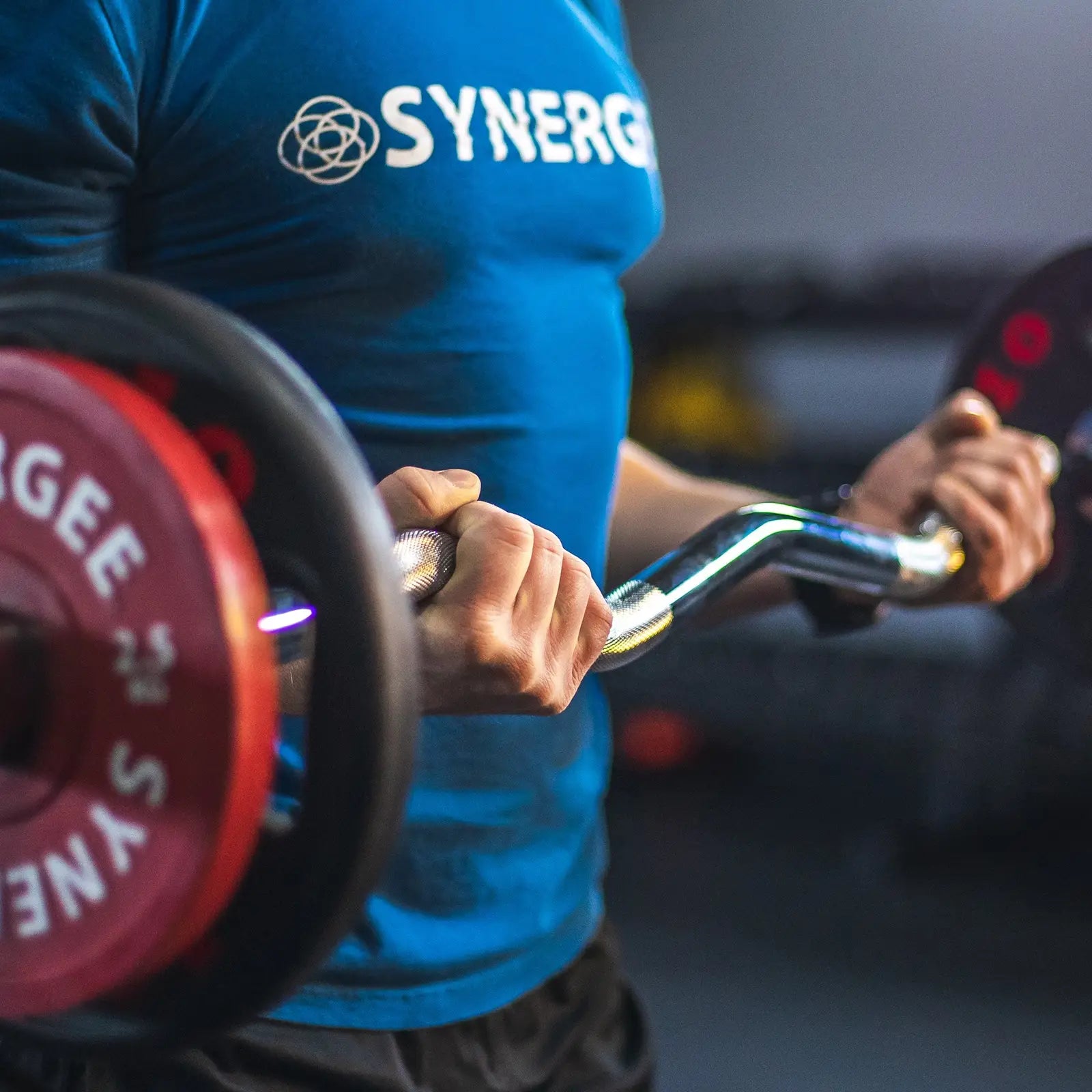 Person in blue Synerg branded shirt gripping a chrome EZ curl bar with red weight plates loaded on either side during a weightlifting exercise.