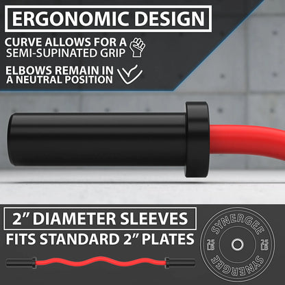 Black and red EZ curl bar with curved grip design and 2-inch diameter sleeves for standard weight plates. Ergonomic handle reduces wrist strain during barbell exercises.