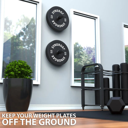 Two black weight plate storage pegs mounted on a light gray wall, each labeled "SYNERGEF" and marked with "45 LB" weight capacities, displayed in a modern home gym with large windows.