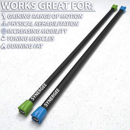 Pair of Synergee weighted workout bars with black shafts and green and blue end caps labeled "12 lb" on a speckled white background.